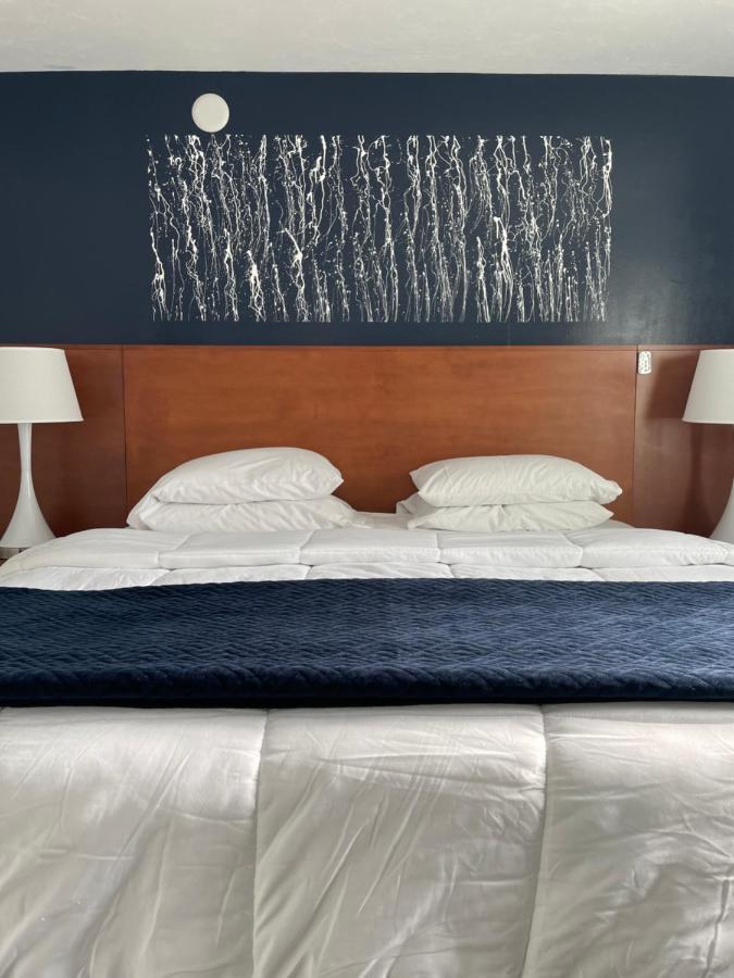 Starlite Resort Saugatuck Εξωτερικό φωτογραφία